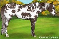Horse Color:White Spotted Liver Chestnut Frame
