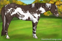 Horse Color:White Spotted Liver Chestnut Frame 