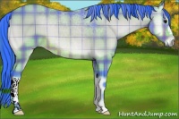 Horse Color:Watercolor Plaid  Bay Onyx 