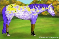 Horse Color:Watercolor Brown Ice 