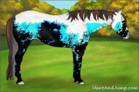 Horse Color:Plaid  White Spotted Amber Champagne Ice Onyx Rabicano 