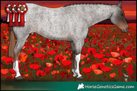 Horse Color:Liver Red Roan Tobiano 