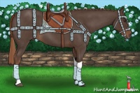 Horse Color:Liver Red Roan Tobiano 