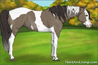 Horse Color:Smoky Grullo Splash Tobiano 