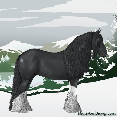 Horse Color:Black Tobiano Rabicano 