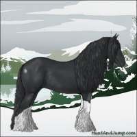 Horse Color:Black Tobiano Rabicano 