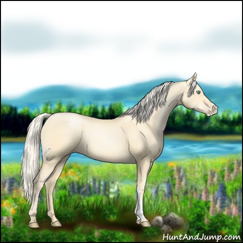 Horse Color:Palomino Pearl