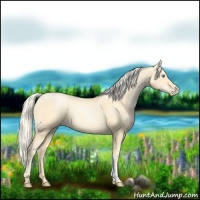 Horse Color:Palomino Pearl