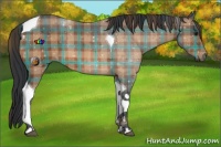 Horse Color:Plaid  Bay Tobiano Rabicano 