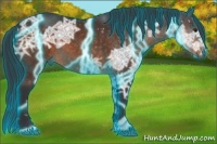Horse Color:Thunderstruck Brown Ice