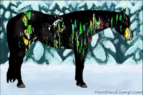 Horse Color:Liver Chestnut Chinchilla Ice Sabino Appaloosa 