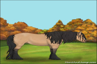 Horse Color:Bay Dun 