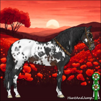 Horse Color:White Spotted Brown Blanket 