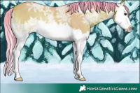 Horse Color:Watercolor Bay Ice Roan Onyx Splash 