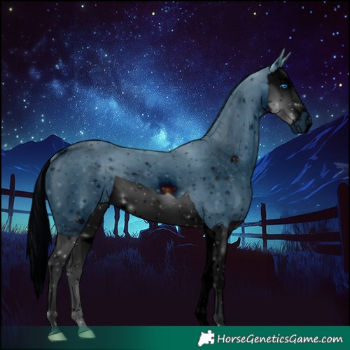 Horse Color:ERROR: UNKNOWN ANOMALY