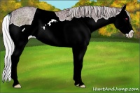 Horse Color:Chocolate Silver Brown Chinchilla Ice Splash 