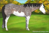 Horse Color:Liver Chestnut Ice Sabino Splash 