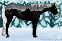 Horse Color:Silver Brown Chinchilla Sabino Splash 