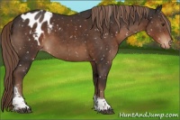 Horse Color:Liver Chestnut Tobiano Blanket Rabicano 