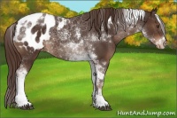 Horse Color:Liver Chestnut Tobiano Blanket 