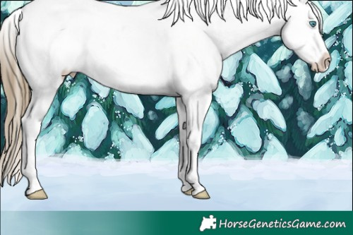 Horse Color:Buckskin Pearl Tobiano Near Leopard 