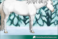 Horse Color:Buckskin Pearl Tobiano Near Leopard 