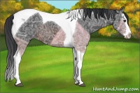 Horse Color:Brown Ice Sabino Splash Tobiano 