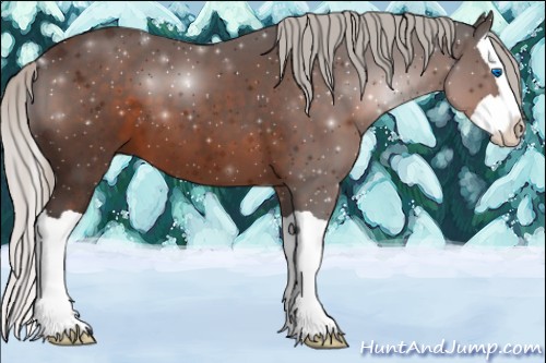 Horse Color:Silver Brown Splash 