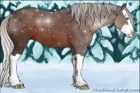 Horse Color:Silver Brown Splash
