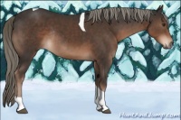 Horse Color:Liver Chestnut Mushroom Tobiano Rabicano