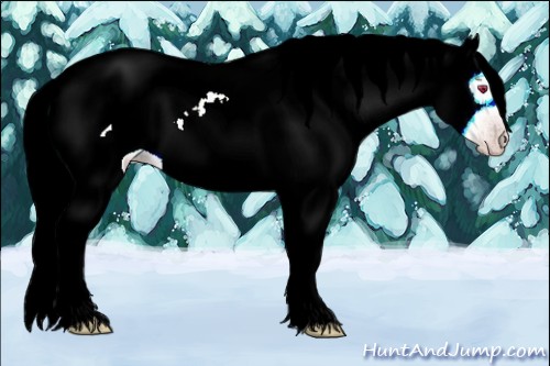 Horse Color:Gold Champagne Chinchilla Ice Mushroom 