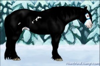 Horse Color:Gold Champagne Chinchilla Ice Mushroom 