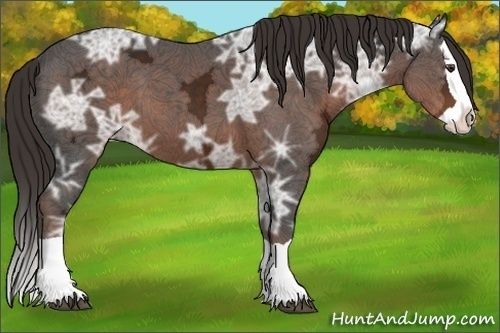 Horse Color:Liver Chestnut Ice Splash 