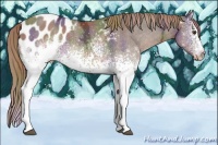 Horse Color:Nacre White Spotted Liver Chestnut Ice Blanket 