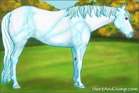 Horse Color:Thunderstruck Chocolate Palomino Chinchilla Splash Tobiano 