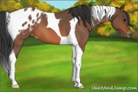 Horse Color:Bay Roan Tobiano Blanket 