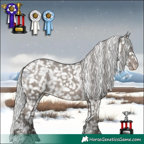 Horse Color:Platinum Silver Grullo Appaloosa 