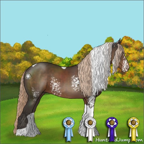 Horse Color:White Spotted Liver Chestnut Tobiano 