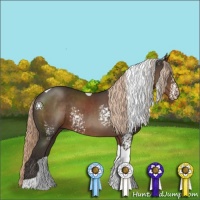 Horse Color:White Spotted Liver Chestnut Tobiano 