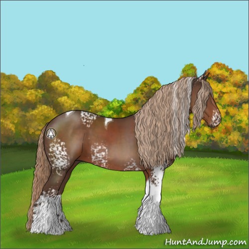Horse Color:White Spotted Liver Chestnut Tobiano 