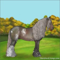 Horse Color:White Spotted Silver Black 