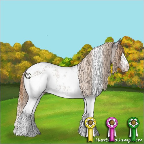 Horse Color:White Spotted Liver Chestnut Tobiano Rabicano