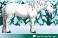 Horse Color:White Spotted Liver Chestnut Ice Appaloosa 