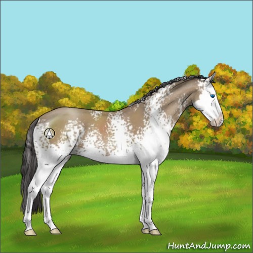 Horse Color:White Spotted Classic Champagne Splash 