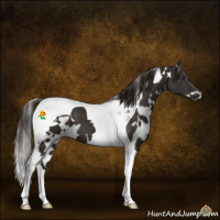 Horse Color:White Spotted Liver Chestnut Tobiano 
