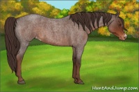 Horse Color:Liver Red Roan Varnish 