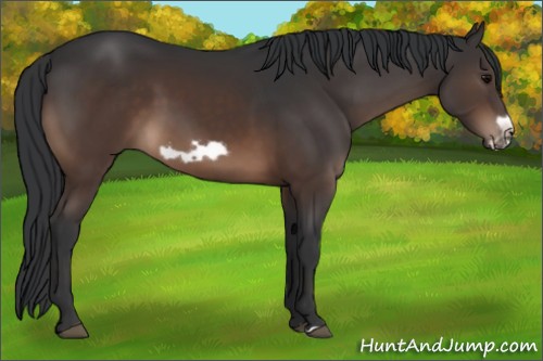 Horse Color:Brown Frame 