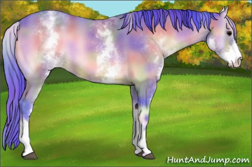 Horse Color:Nacre Watercolor White Spotted Bay Onyx
