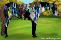 Horse Color:Plaid  Red Onyx Ice Tobiano Rabicano 