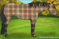 Horse Color:Plaid  Bay Roan Rabicano 